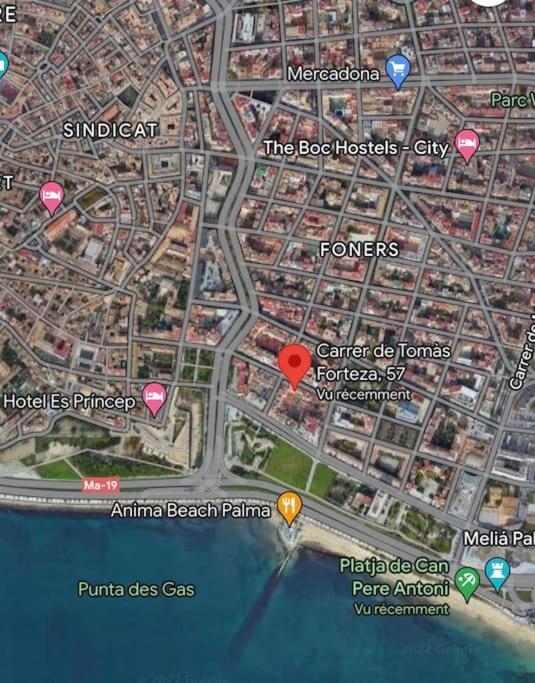 Modern Palma